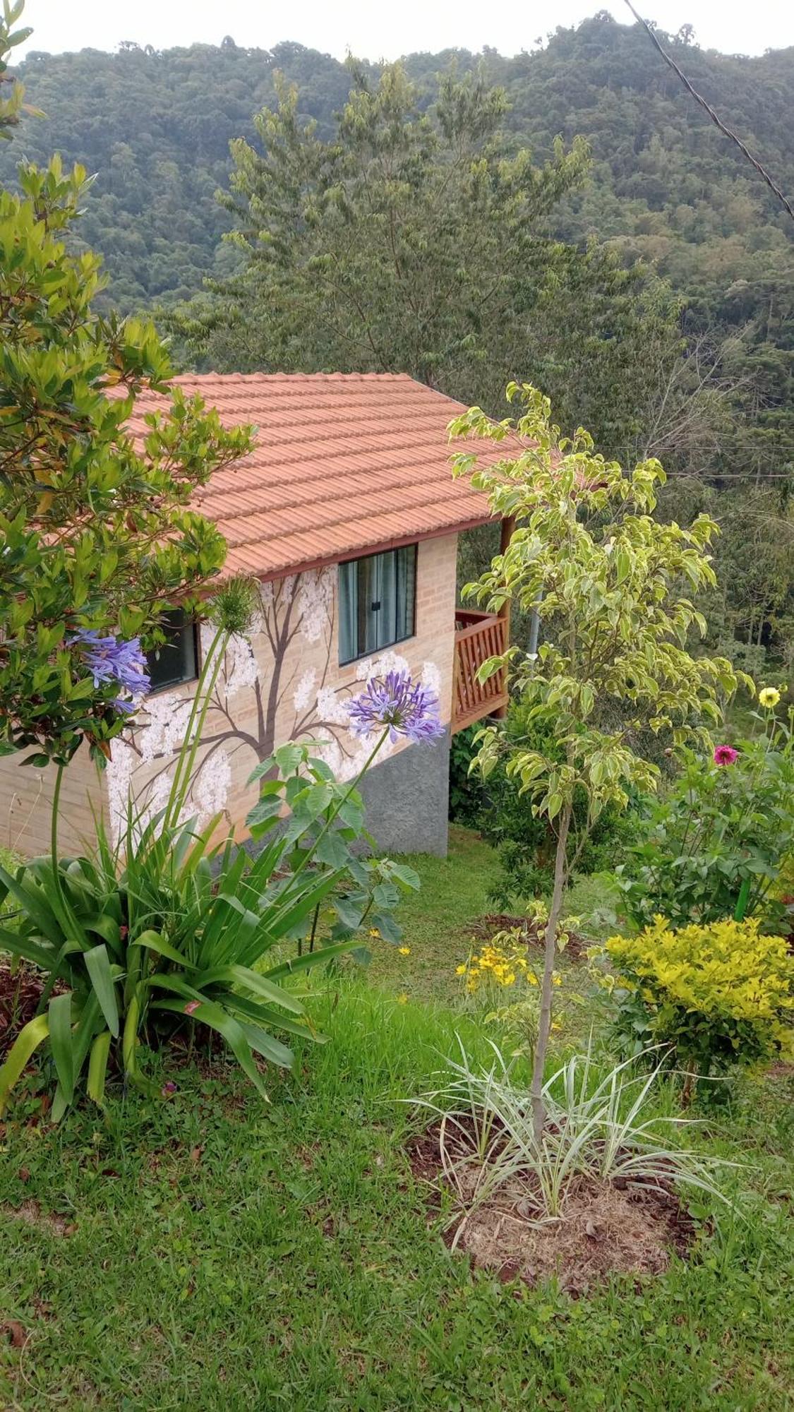 Sonho Na Serra Chale 1 Гонсалвес Екстер'єр фото
